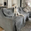PupProtector™ Waterproof Throw Blanket - Charcoal Grey Dog Blanket Paw.com