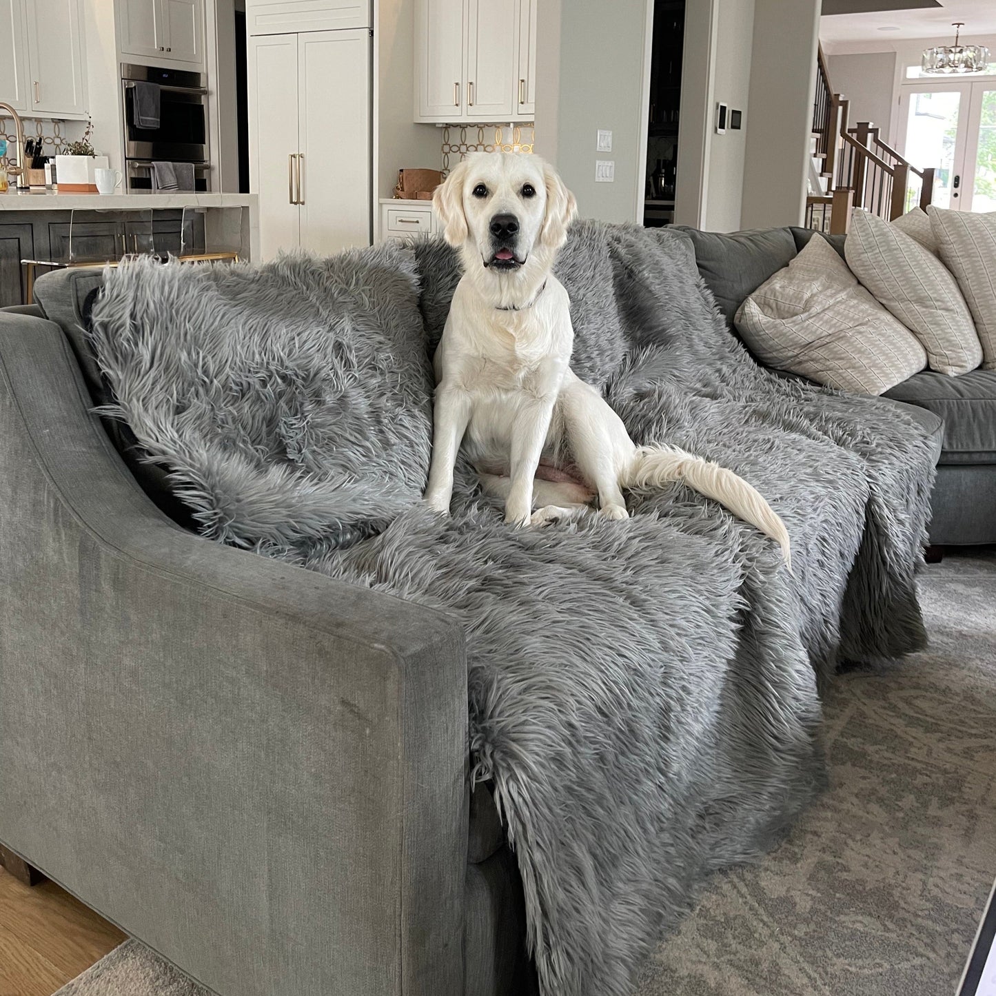 PupProtector™ Waterproof Throw Blanket - Charcoal Grey Dog Blanket Paw.com