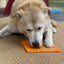 Zombie eMat - Enrichment Lick Mat for Dogs and Cats | Halloween Skull Design | SodaPup EMAT SodaPup/True Dogs, LLC