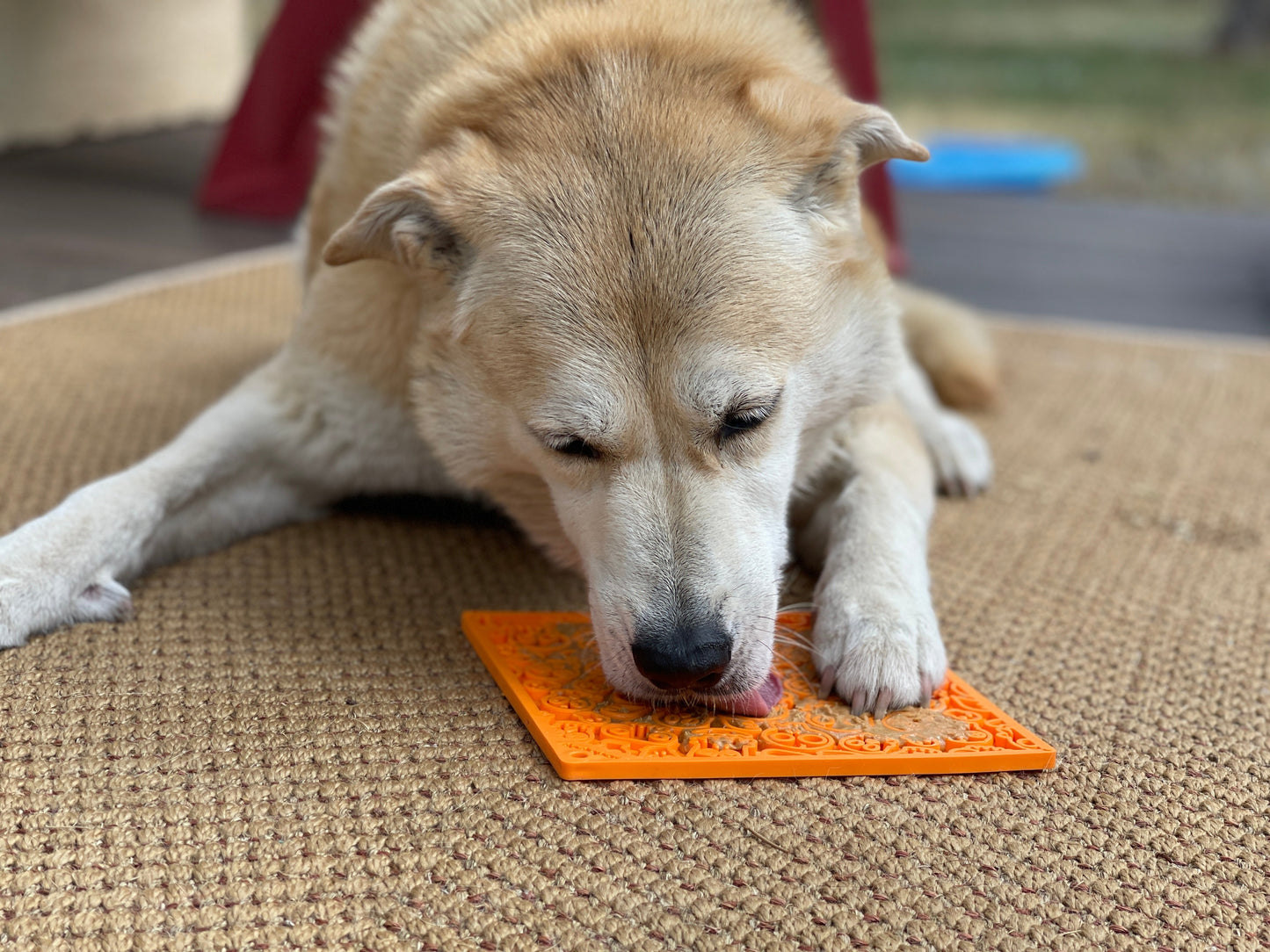 Zombie eMat - Enrichment Lick Mat for Dogs and Cats | Halloween Skull Design | SodaPup EMAT SodaPup/True Dogs, LLC