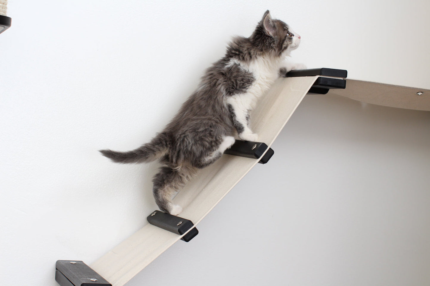 The Lift- Cat Hammock Bed Cat Hammock Catastrophic Creations