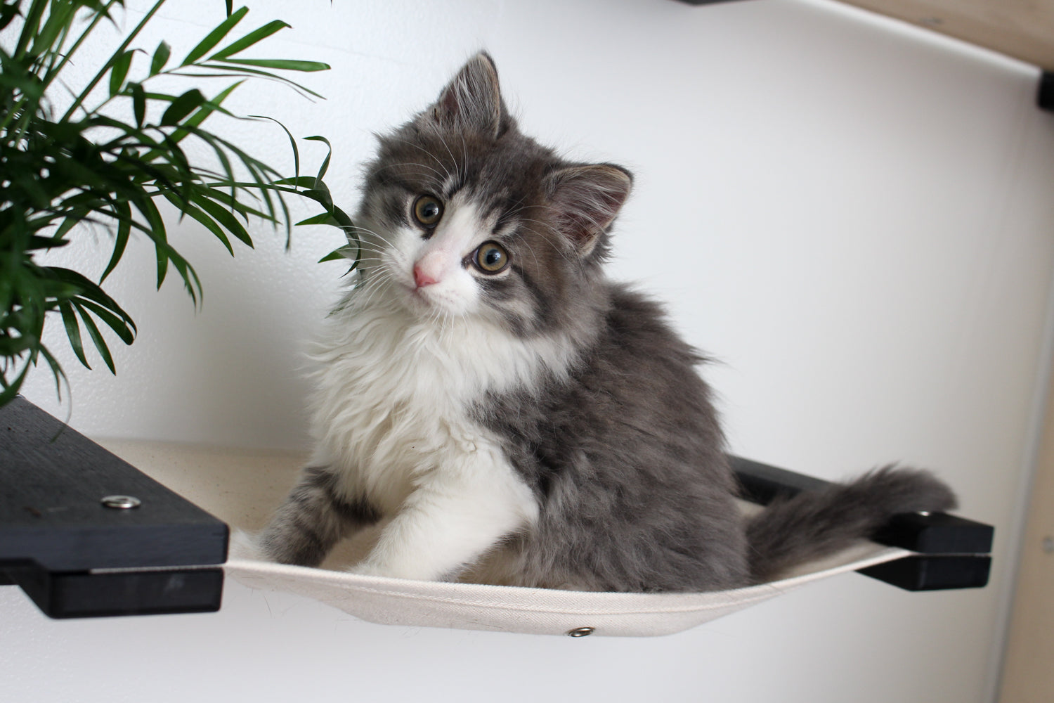 Cat Hammock Wall with Planter Cat Hammock Catastrophic Creations