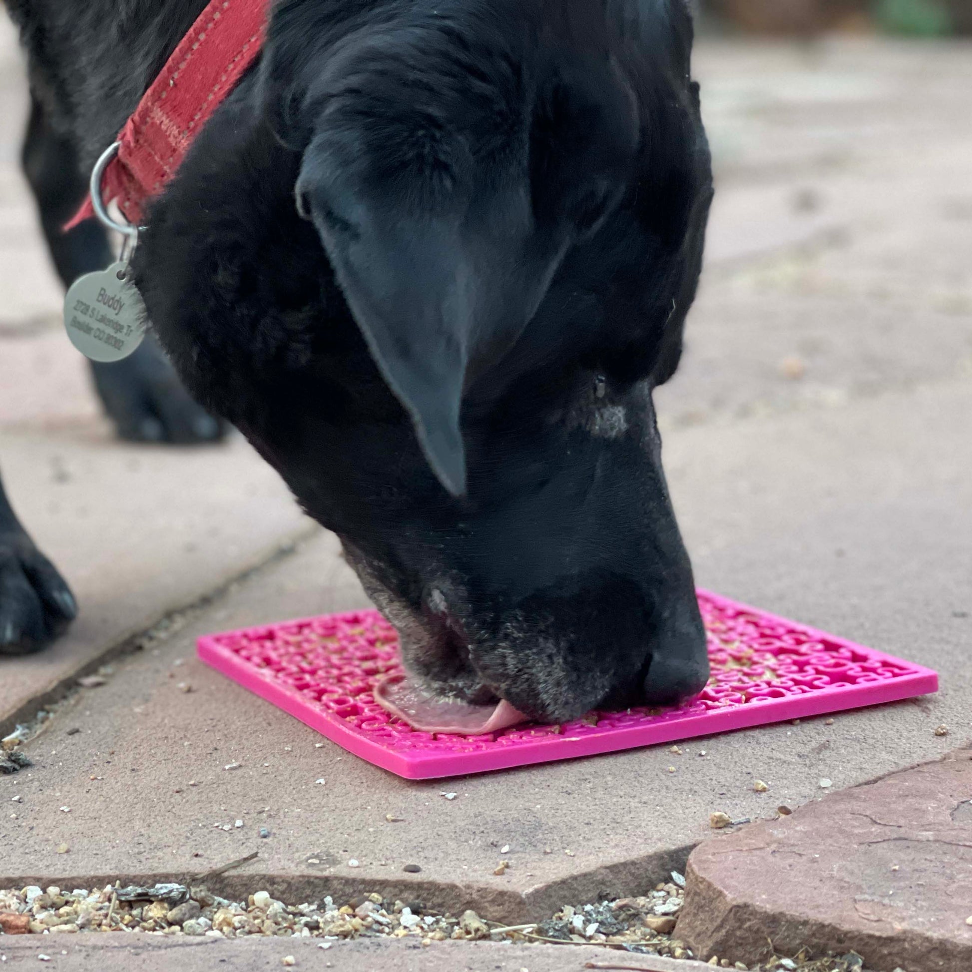 Jigsaw Puzzle eMat - Enrichment Lick Mat for Dogs and Cats | eMat Enrichment Toy for Anxiety Relief | USA Made EMAT SodaPup/True Dogs, LLC