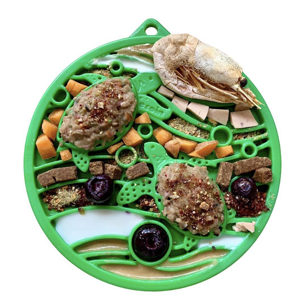 Water Nylon eCoin Durable Enrichment Snacking Coin for Dogs | USA-Made Lick Mat Alternative ECOIN SodaPup/True Dogs, LLC
