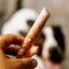 Trophy Chews™ Antler-Shaped Dental Treats Dog Treat Breedwise Pet Provisions