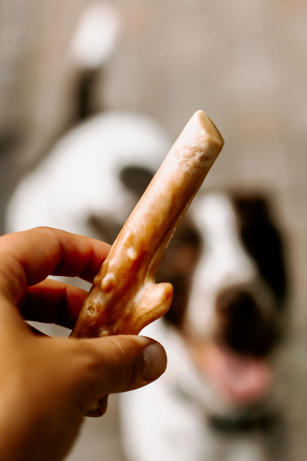 Trophy Chews™ Antler-Shaped Dental Treats Dog Treat Breedwise Pet Provisions