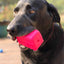 Surf's Up! Retro Van Dog Toy - Durable Chew Toy for Large Dogs | USA Made Rubber Dog Toys SodaPup/True Dogs, LLC