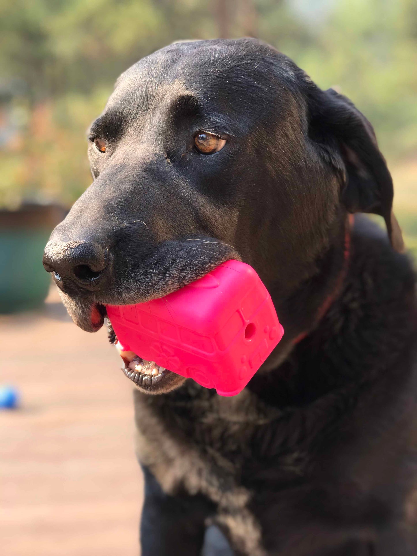 Surf's Up! Retro Van Dog Toy - Durable Chew Toy for Large Dogs | USA Made Rubber Dog Toys SodaPup/True Dogs, LLC