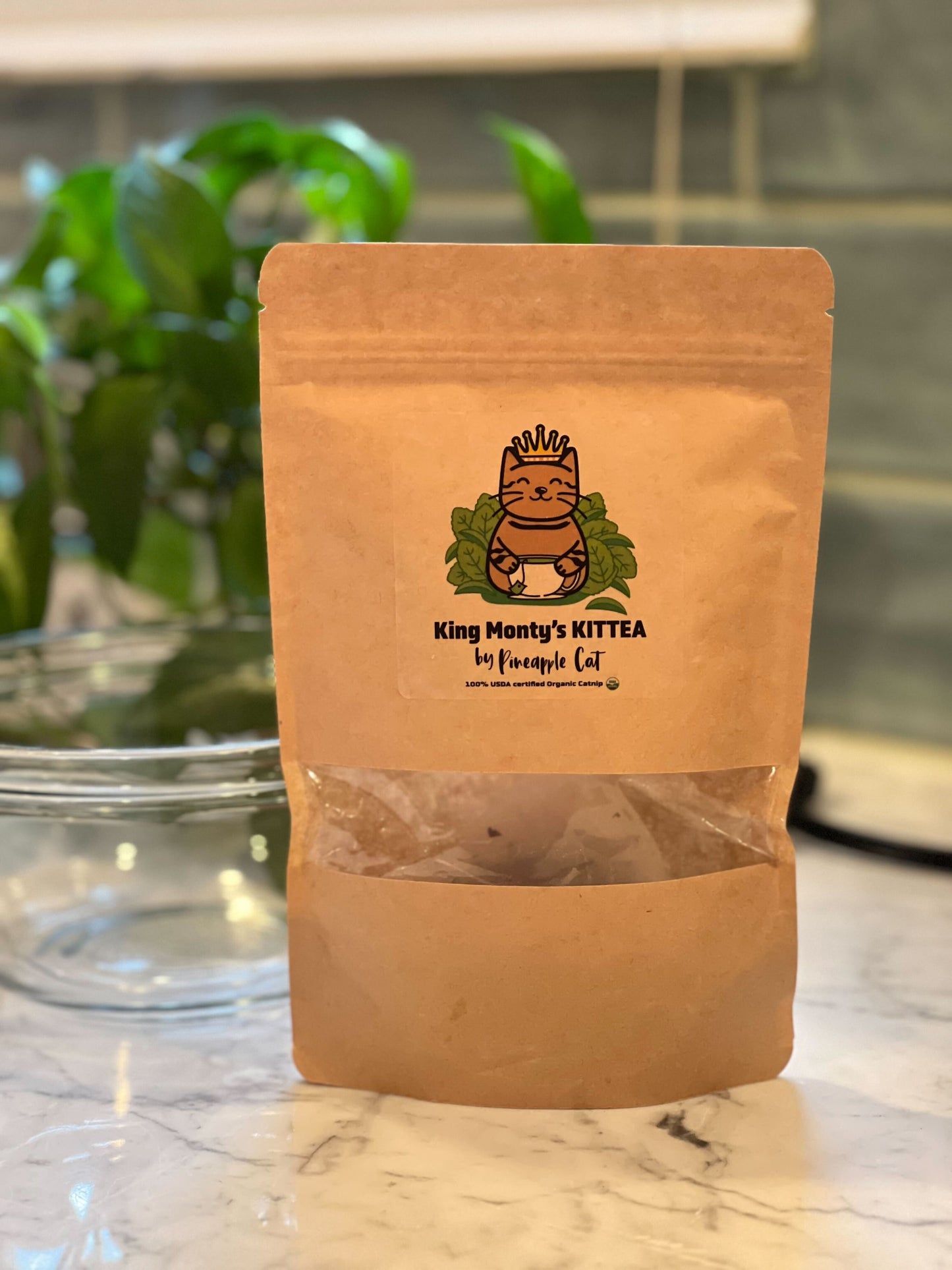 King Monty’s Kittea The Charleston Cat Groomer