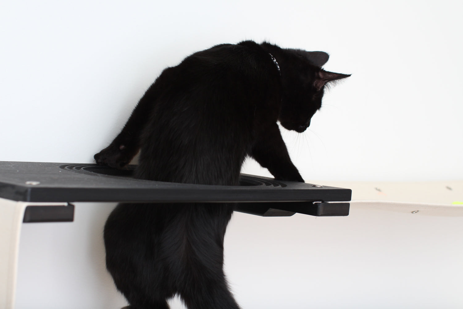 Cat Maze Wall - 3 Tier Cat Tree Cat Condo Catastrophic Creations