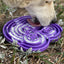 Water Frog eTray - Shallow Slow Feeder Dog Bowl for Enrichment | USA Made ETRAY SodaPup/True Dogs, LLC