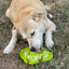 Water Frog eTray - Shallow Slow Feeder Dog Bowl for Enrichment | USA Made ETRAY SodaPup/True Dogs, LLC