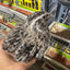 Falb-Fee Quail Hatching Eggs Buddys Hatchery