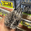 Falb-Fee Quail Hatching Eggs Buddys Hatchery