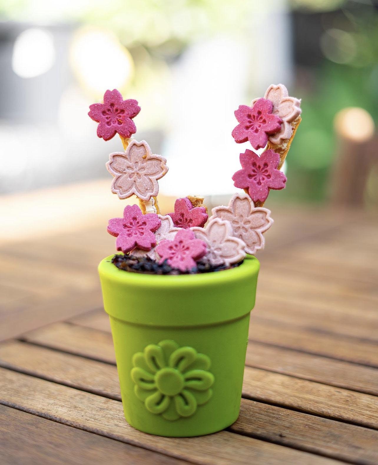 Large Flower Pot eCup Dog Treat Dispenser | Durable USA-Made Enrichment Toy | SodaPup Rubber Dog Toys SodaPup/True Dogs, LLC