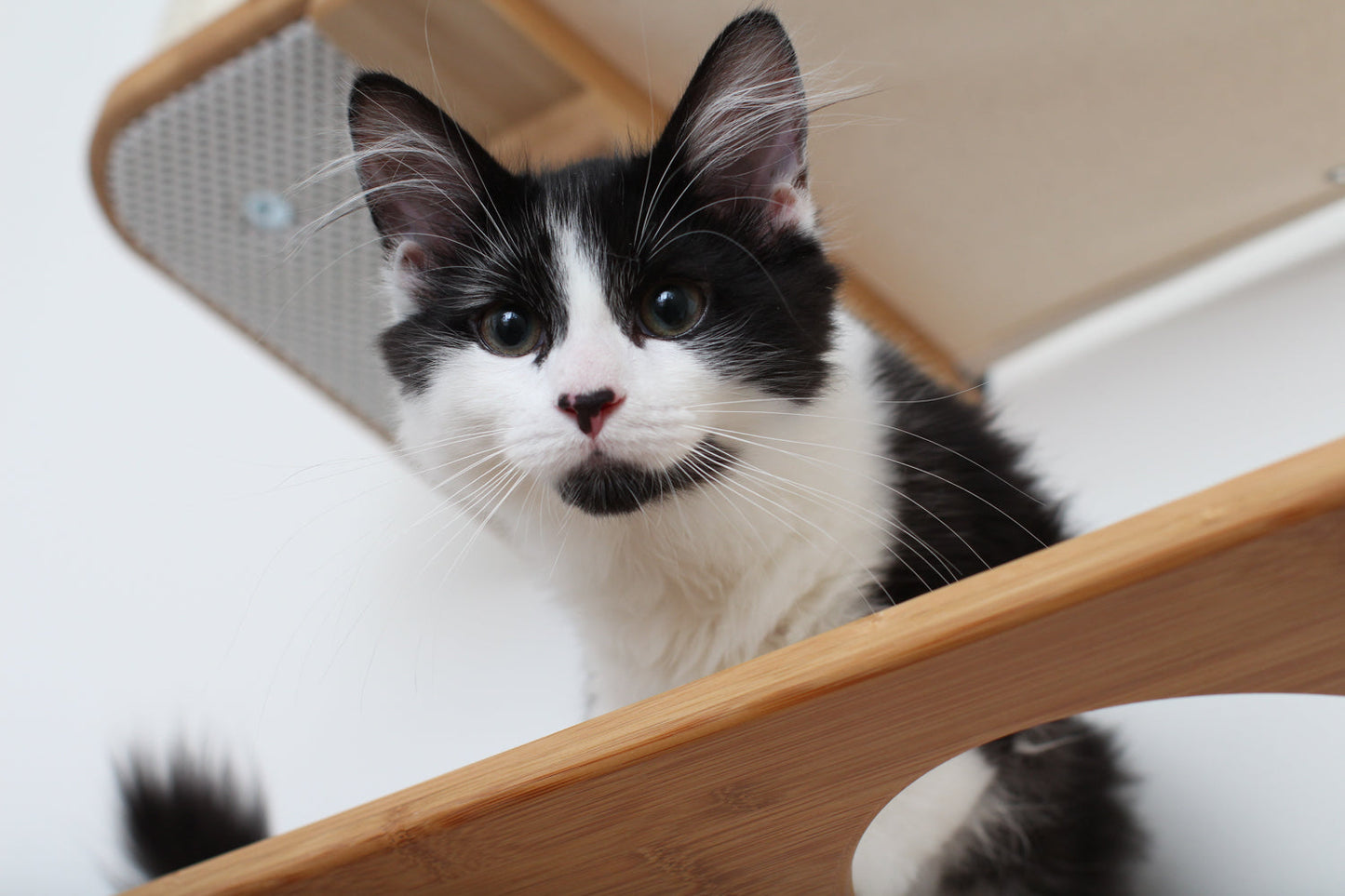 The Bunker - Multi Level Cat Tree with Perch Cat Condo Catastrophic Creations
