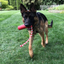 USA-K9 Firecracker Floating Training Dummy | K9 Handler Reward Toy | Red | USA Made Rubber Dog Toys SodaPup/True Dogs, LLC