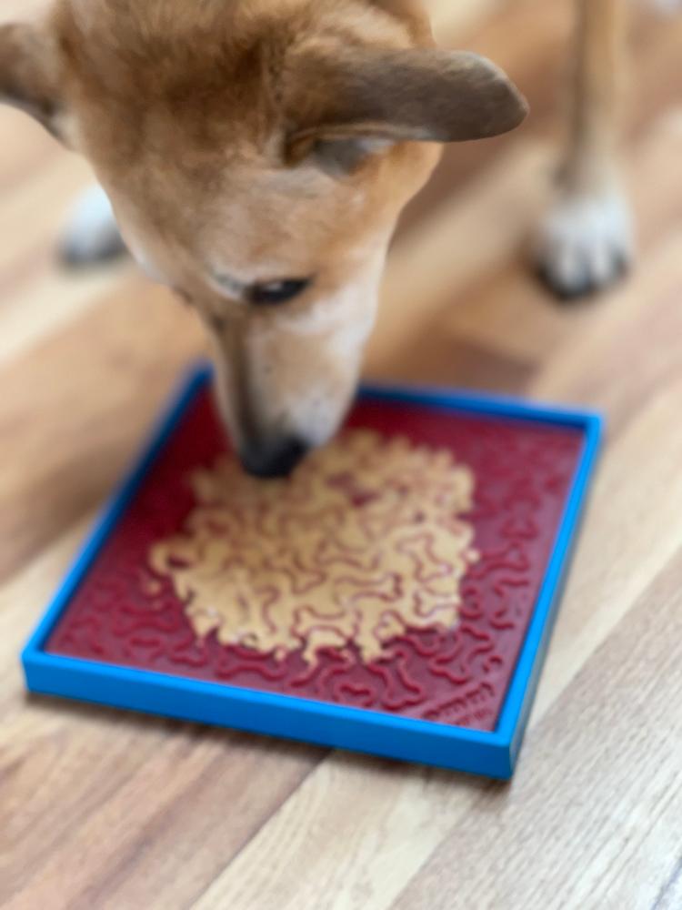 Hold 'em Suction Cup Holder for Dog Bowls & Lick Mats | USA Made EMAT SodaPup/True Dogs, LLC
