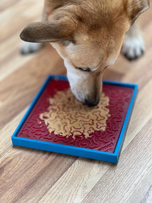 Hold 'em Suction Cup Holder for Dog Bowls & Lick Mats | USA Made EMAT SodaPup/True Dogs, LLC