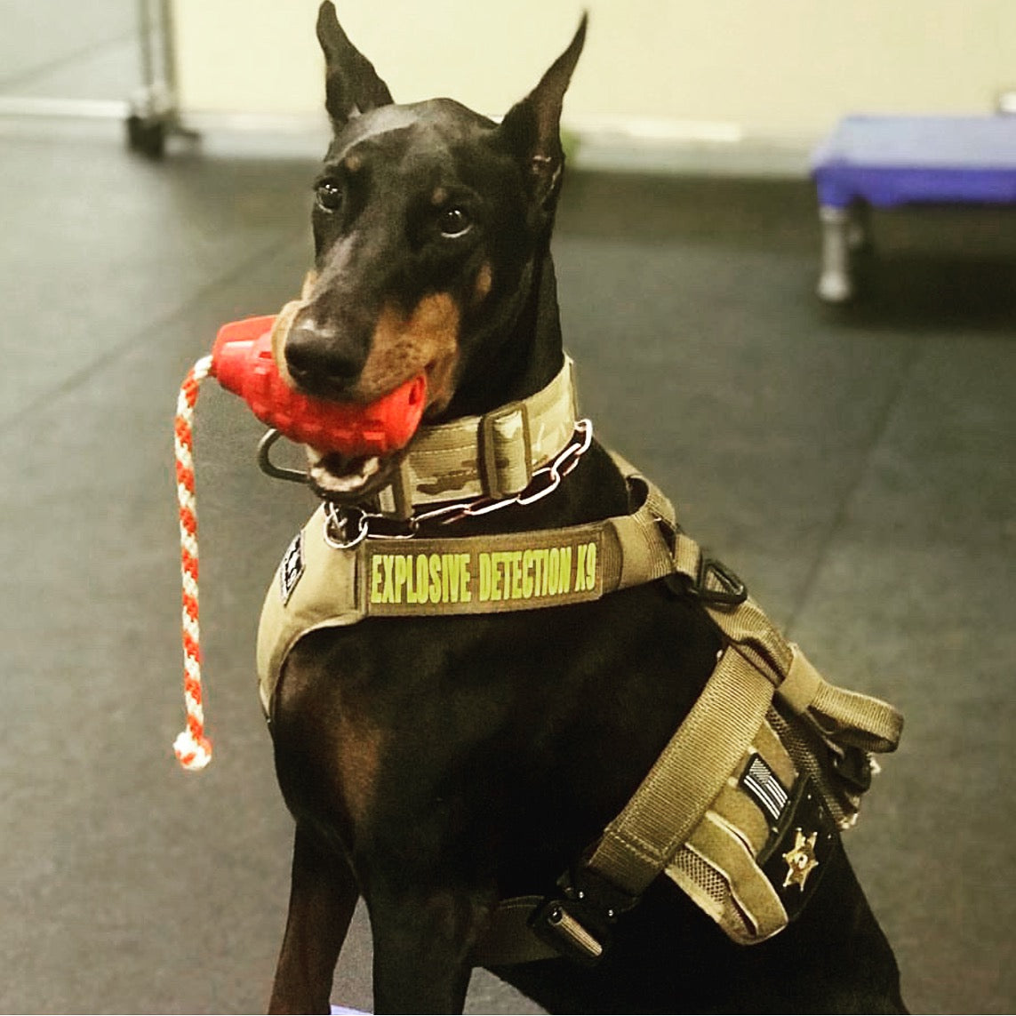 USA-K9 Magnum Grenade - Black Magnum Rubber Chew Toy for Extreme Chewers | USA Made Rubber Dog Toys SodaPup/True Dogs, LLC