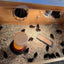 All Black Quail Hatching Eggs - Pure Breed, Ideal for Aviary Hobbyists & Breeders Buddys Hatchery