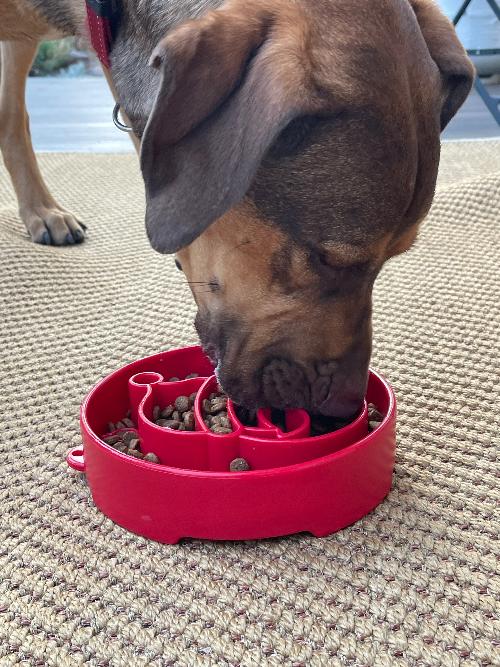 Santa Christmas eBowl Deep Slow Feeder Dog Bowl for Enrichment | USA Made EBOWL SodaPup/True Dogs, LLC