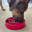 Santa Christmas eBowl Deep Slow Feeder Dog Bowl for Enrichment | USA Made EBOWL SodaPup/True Dogs, LLC