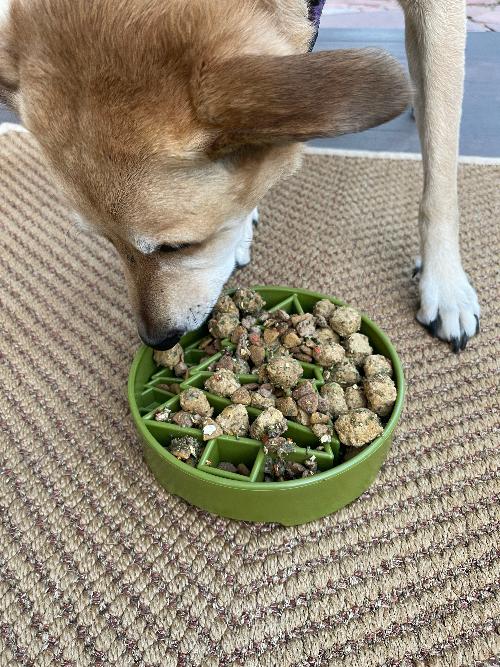 Pine Tree Christmas eBowl Deep Slow Feeder Dog Bowl for Enrichment | USA Made EBOWL SodaPup/True Dogs, LLC