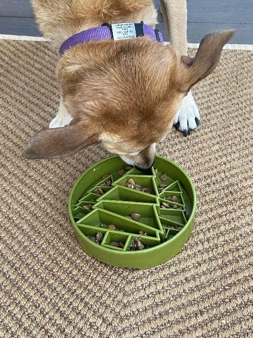 Pine Tree Christmas eBowl Deep Slow Feeder Dog Bowl for Enrichment | USA Made EBOWL SodaPup/True Dogs, LLC