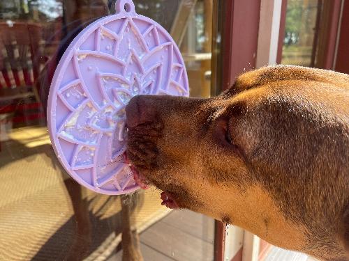 Lotus Design emat - Enrichment Lick Mat For Dogs and Cats - With Suction Cups | USA Made EMAT SodaPup/True Dogs, LLC