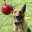 USA-K9 Stars and Stripes Rubber Dog Toy | K9 Handler Reward Toy | Red | USA Made Rubber Dog Toys SodaPup/True Dogs, LLC