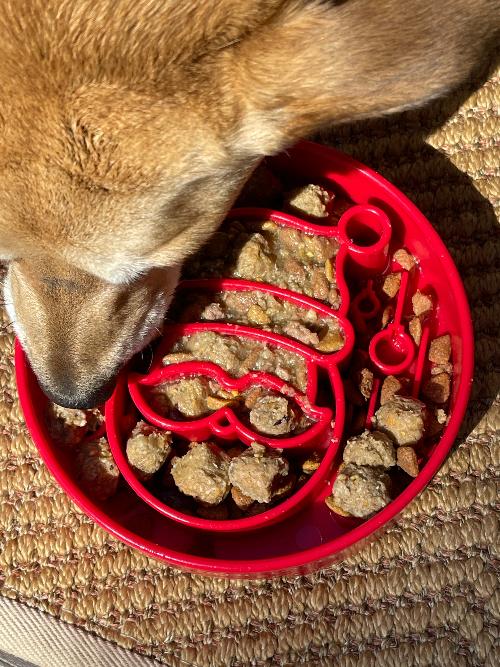 Santa Christmas eBowl Deep Slow Feeder Dog Bowl for Enrichment | USA Made EBOWL SodaPup/True Dogs, LLC