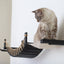 Double Cat Hammock and Climbing Bridge Combo Cat Bridge Catastrophic Creations