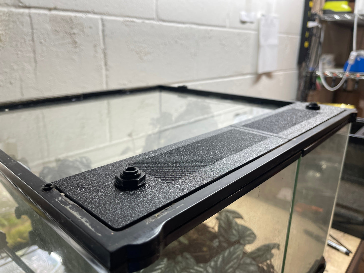 Custom Replacement Top for 18" Exo Terra Terrariums – Humidity Retaining with Fly-Proof Ventilation 18" Front Yes Thrive Ecosystems