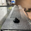 Custom Replacement Top for 36"Zoomed Terrariums – Humidity Retaining with Fly-Proof Ventilation Thrive Ecosystems
