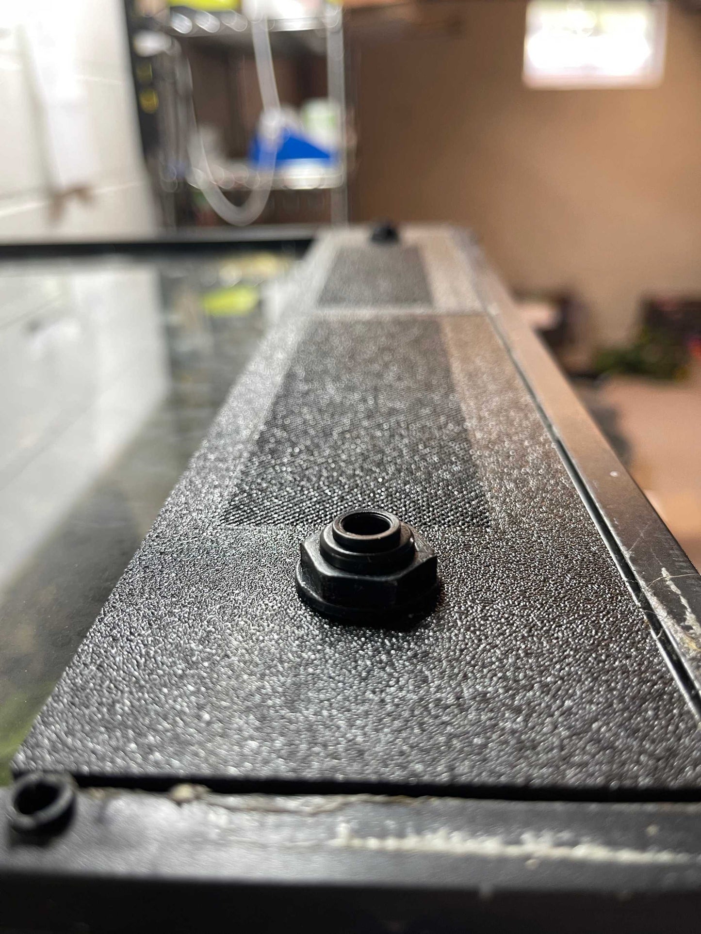 Custom Replacement Top for 18" Zoomed Terrariums – Humidity Retaining with Fly-Proof Ventilation Thrive Ecosystems