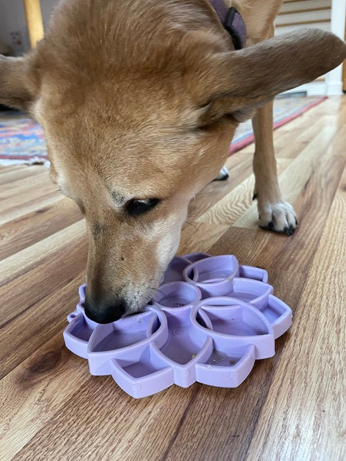 Mandala Softie eTray Shallow Slow Feeder Dog Bowl with Suction Cups | USA Made ETRAY SodaPup/True Dogs, LLC