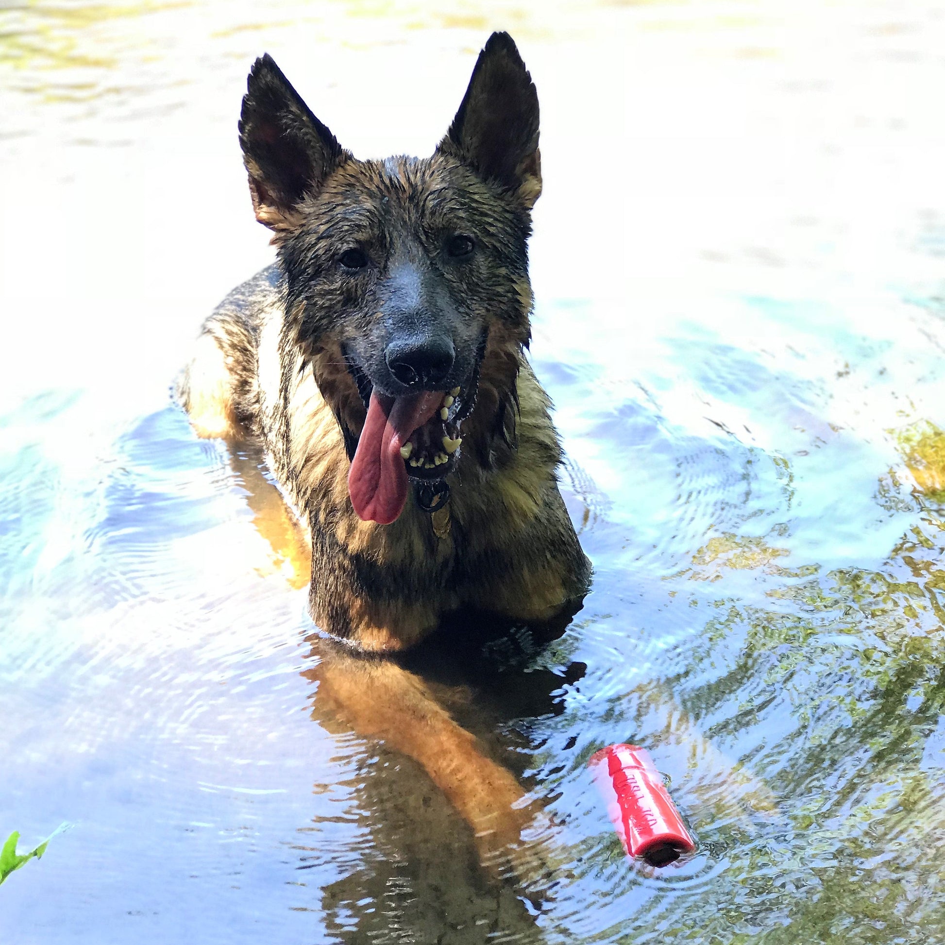 USA-K9 Firecracker Floating Training Dummy | K9 Handler Reward Toy | Red | USA Made Rubber Dog Toys SodaPup/True Dogs, LLC