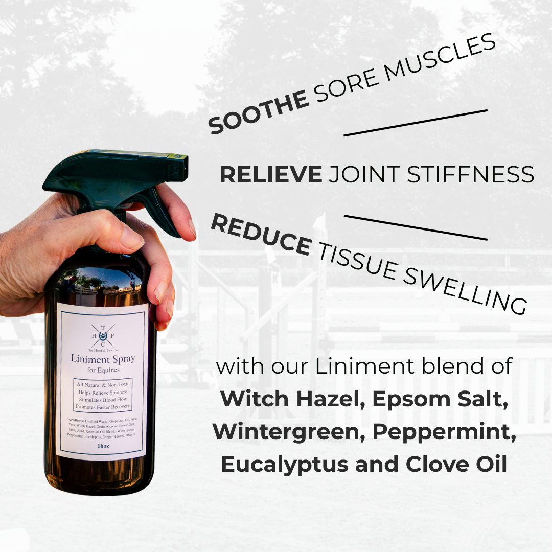 Liniment Spray for Horses The Hoof & Paw Co.