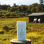 Skin Soothing Balm for Dogs & Horses - 2oz The Hoof & Paw Co.