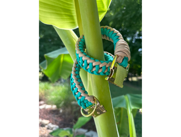 Infinity Braid in Teal & Light Tan - Handmade Dog Collar Handmade Braided Collars Pawsh Pup Co.
