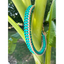 Infinity Braid in Teal & Light Tan - Handmade Dog Collar Handmade Braided Collars Pawsh Pup Co.