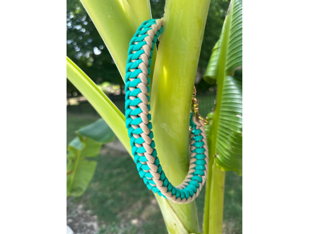 Infinity Braid in Teal & Light Tan - Handmade Dog Collar Handmade Braided Collars Pawsh Pup Co.