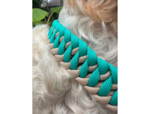 Infinity Braid in Teal & Light Tan - Handmade Dog Collar Handmade Braided Collars Pawsh Pup Co.