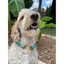 Infinity Braid in Teal & Light Tan - Handmade Dog Collar Handmade Braided Collars Pawsh Pup Co.