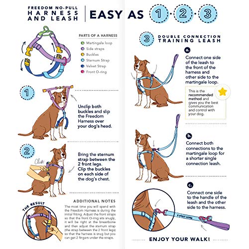 Clyde Double Connection Leash – EarthStyle 2 Hounds Design