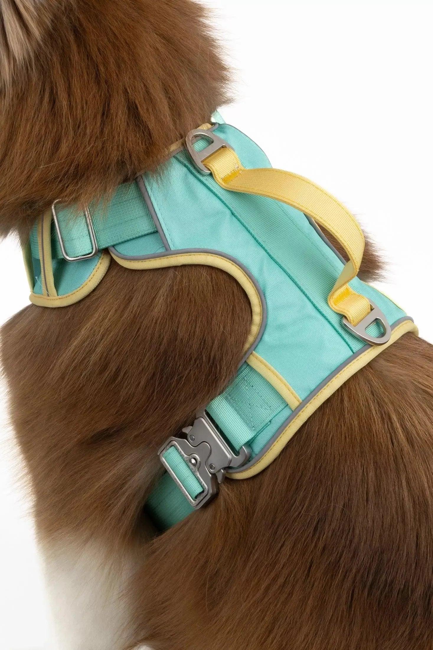 Island Vibes Ultimate Dog Harness Aqua Sunshine Yellow Harness Aria the Fox