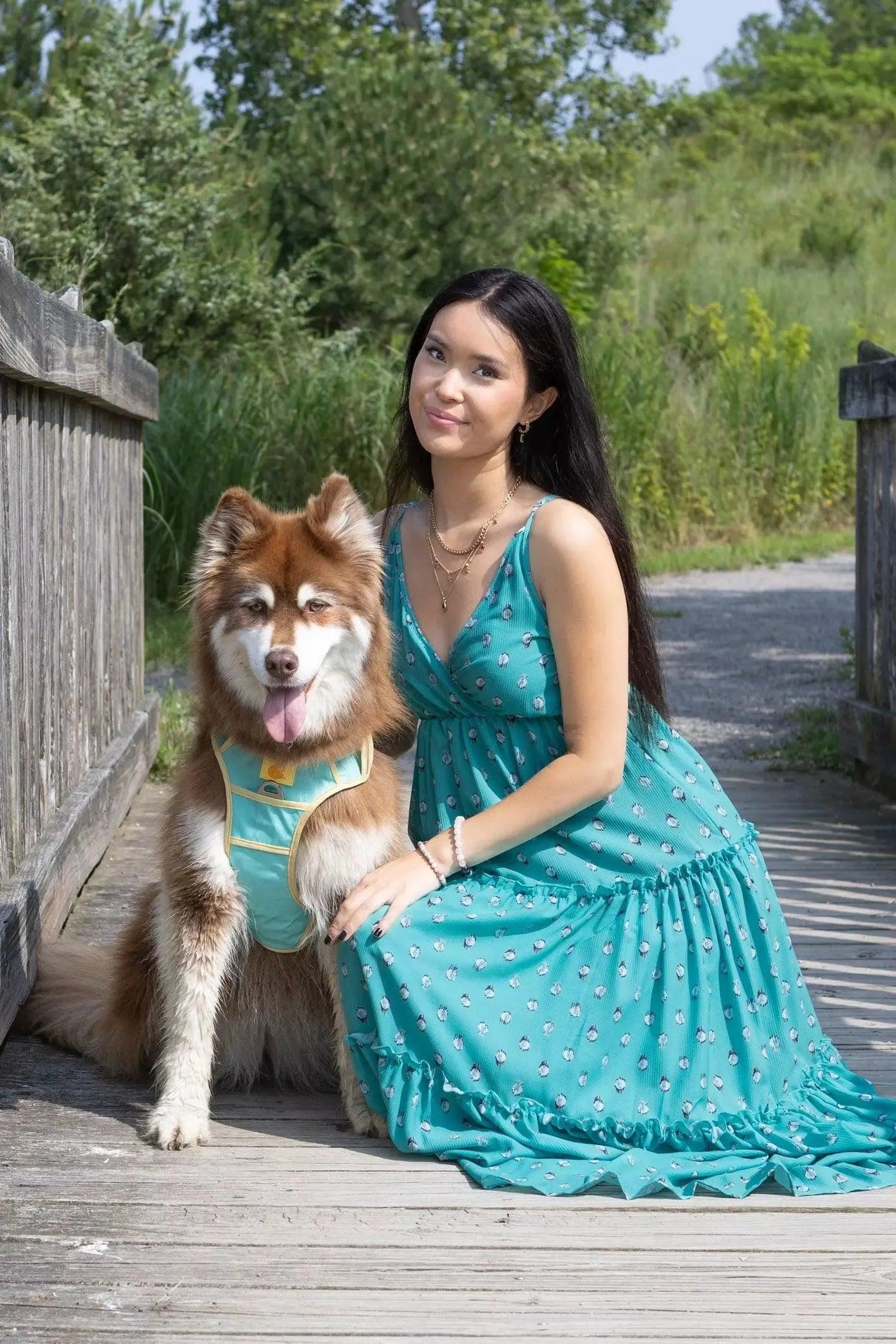 Island Vibes Ultimate Dog Harness Harness Aria the Fox