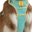 Island Vibes Ultimate Dog Harness Harness Aria the Fox