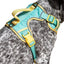 Island Vibes Ultimate Dog Harness Aqua Sunshine Yellow Small Harness Aria the Fox